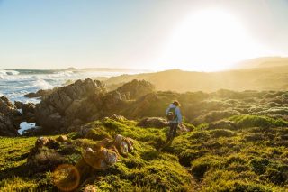 5 hiking trails you need to visit near you despite the lockdown restrictions – The Citizen - Vimarsana News