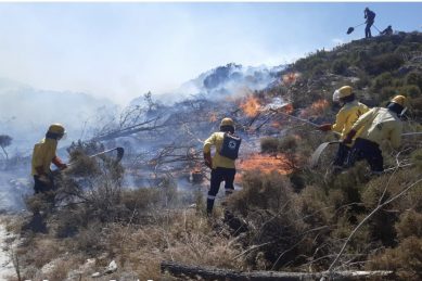 Firefighters rush to contain blazes cropping up in Cape Town