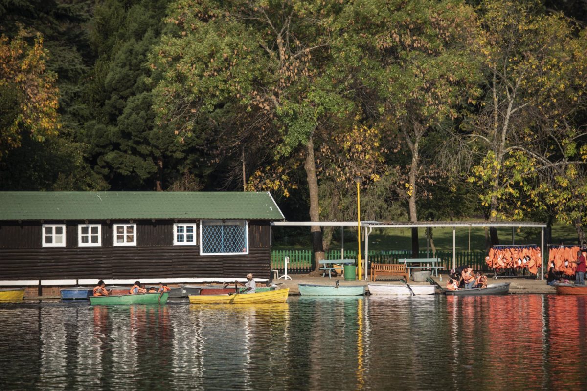 Autumn at Zoo Lake