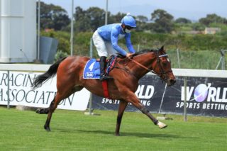 Visitors arrive to plunder PE's Breeders Guineas – The Citizen - Vimarsana News