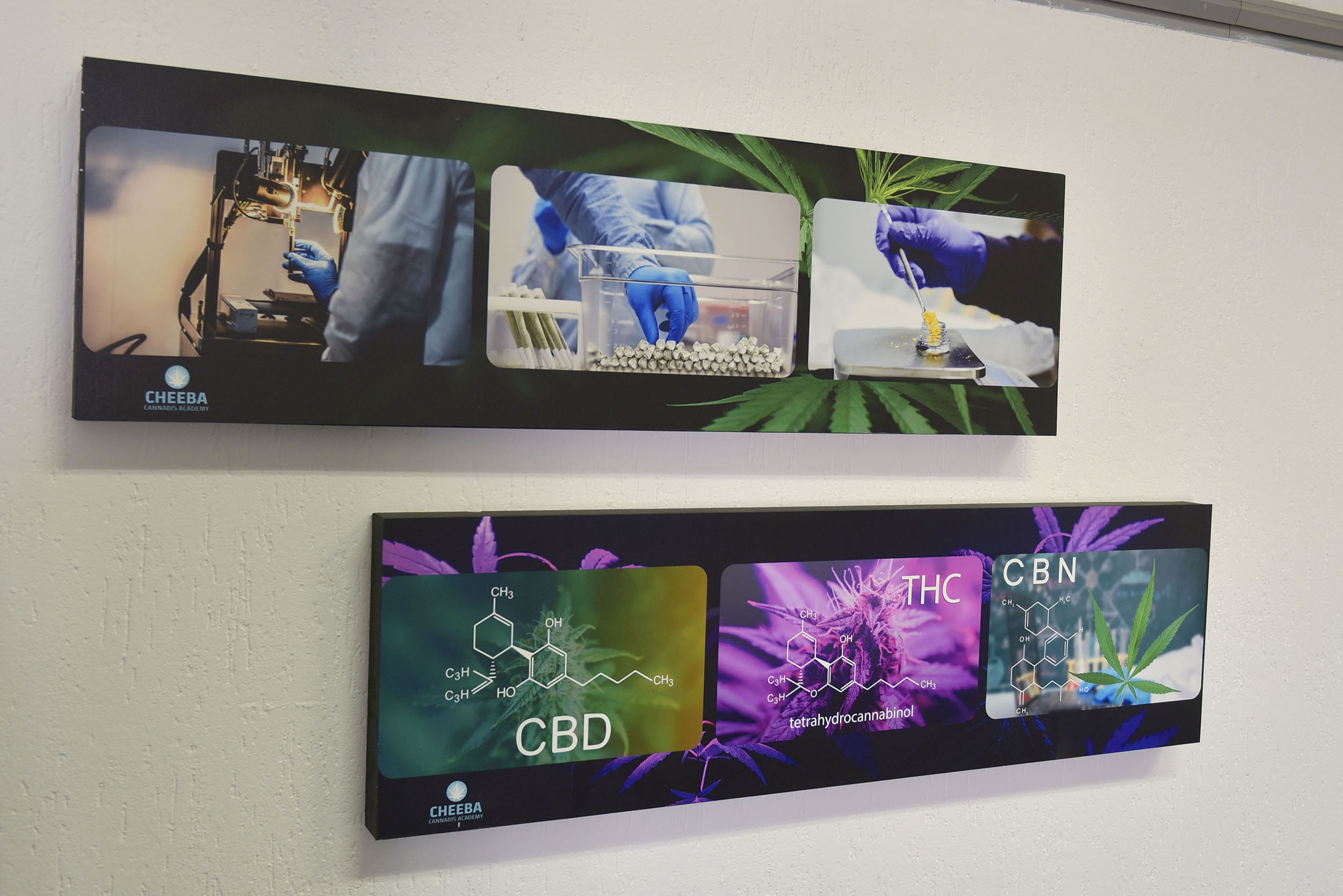 Posters in the training room at the Cheeba Cannabis Academy in Vereeniging. Opening for their first classes soon, Africas first dedicated Cannabis academy aims to deliver an all rounded education in all things cannabis with the aim to equip people with the knowledge needed as the Cannabis industry grows in South Africa and worldwide. Picture: Neil McCartneyPosters in the training room at the Cheeba Cannabis Academy in Vereeniging. Opening for their first classes soon, Africas first dedicated Cannabis academy aims to deliver an all rounded education in all things cannabis with the aim to equip people with the knowledge needed as the Cannabis industry grows in South Africa and worldwide. Picture: Neil McCartney