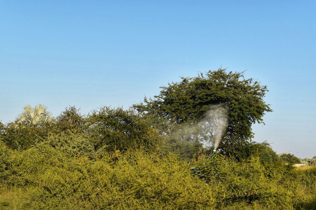 Locust spraying in Namibia