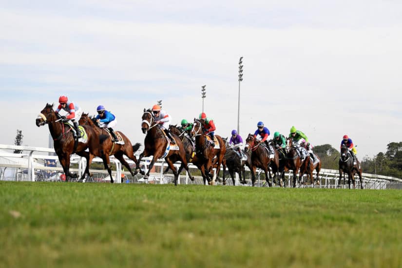 tvg betting promotions