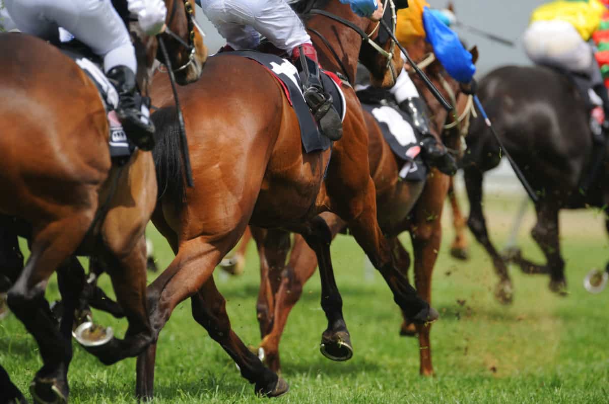 Durban July battle lines drawn