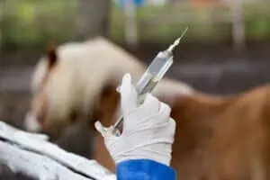 African horse sickness vaccine