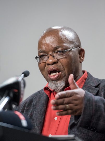 Secretary General of the ANC Gwede Mantashe speaks to the media during a press conference at Albert Luthuli House in Johannesburg on 29 May 2017. Picture: Yeshiel Panchia