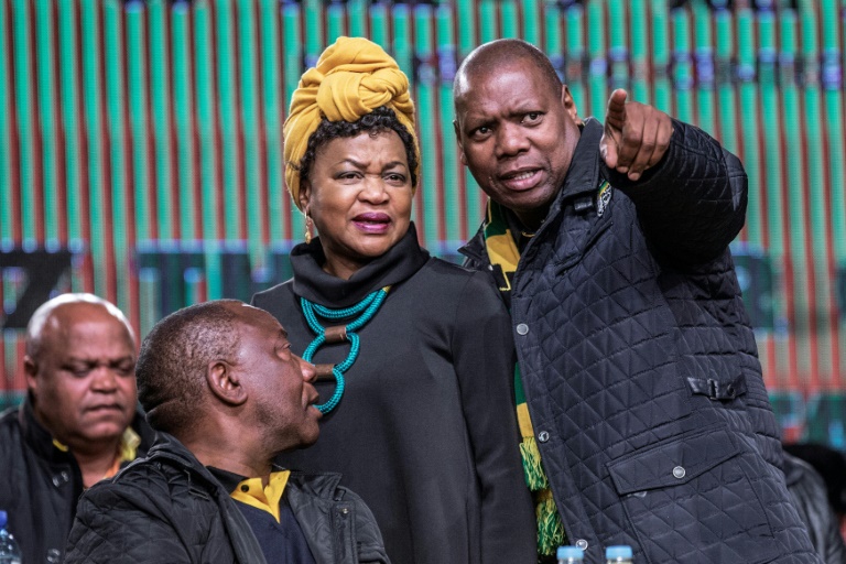 With South Africa's ruling ANC split by bitter divisions over who to elect as their next leader, could party treasurer Zweli Mkhize point the way forward? 