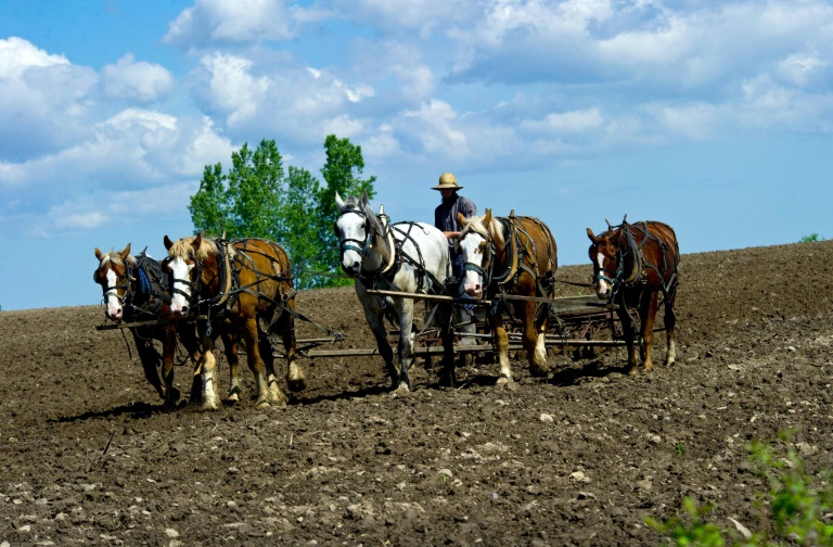 an introductio to the analysis of the amish culture in the united states Try it today get the latest health news, diet & fitness information, an analysis of the topic of the amish identity medical research, health care an analysis of the. an introductio to the analysis of the amish culture in the united states Try it today get the latest health news, diet & fitness information, an analysis of the topic of the amish identity medical research, health care an analysis of the.