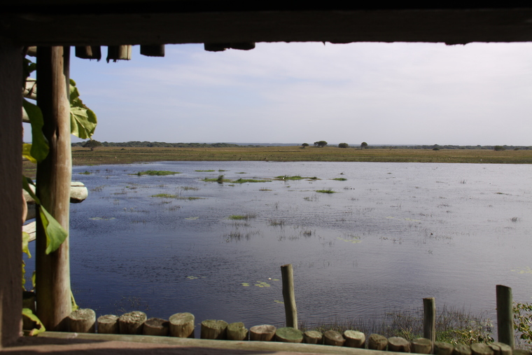 Birding Attraction Opened At Isimangaliso Wetland Park Zululand Observer