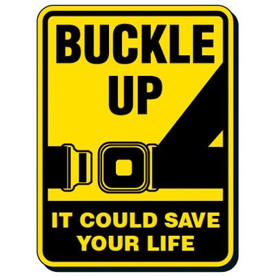 Car Crash Dynamics: Why Buckling Up Is Important 